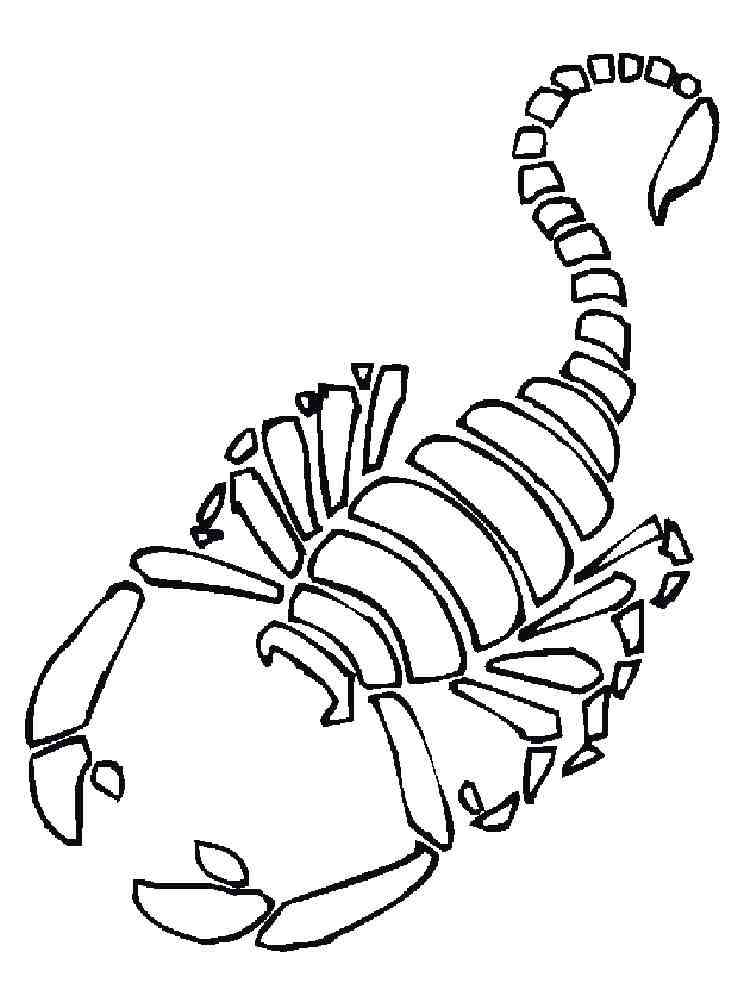 Scorpion Skeleton coloring page