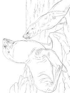 Steller Sea Lions coloring page