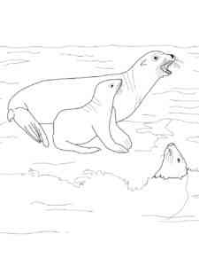 Sea Lions Family coloring page