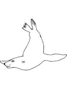Sea Lion Swimming coloring page