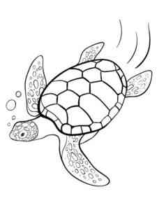 Realistic Sea Turtle coloring page