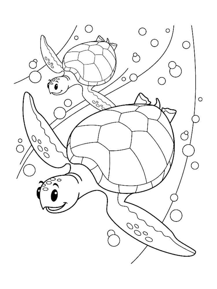 Two Sea Turtles coloring page