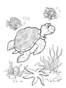 Sea Turtle Underwater coloring page