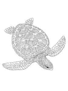 Sea Turtle Antistress 2 coloring page