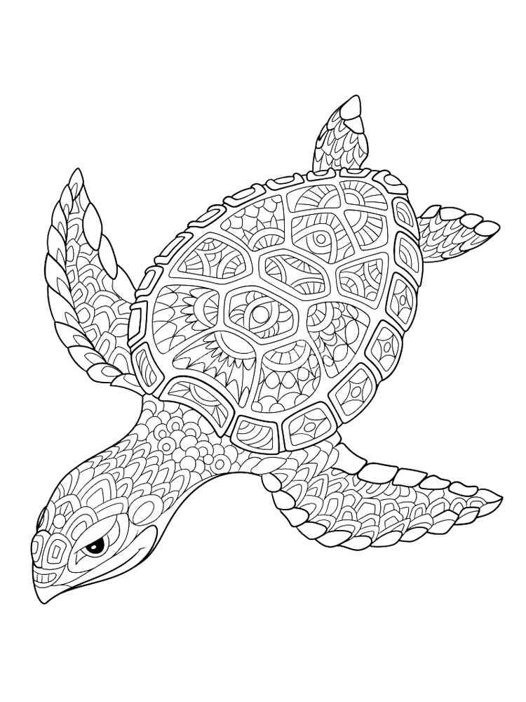 Sea Turtle Zentangle coloring page