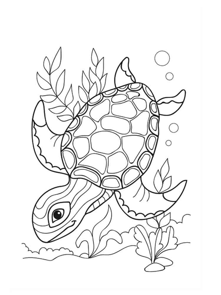 Baby Sea Turtle coloring page