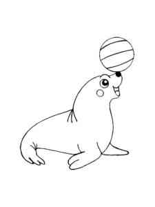 Seal plays with the ball coloring page