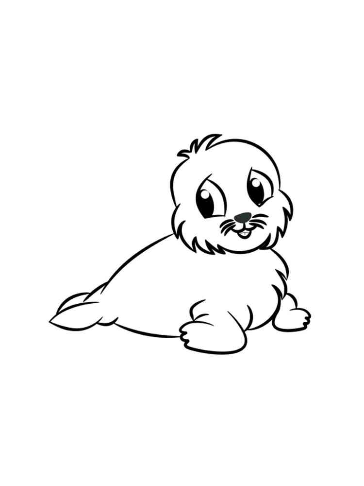Cute Seal coloring page