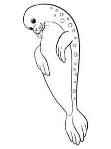 Leopard Seal coloring page