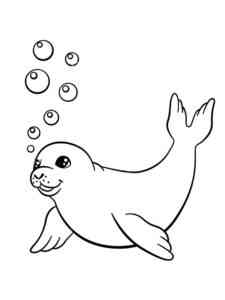 Simple Seal coloring page