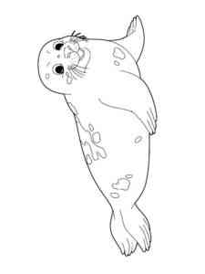 Spotted Seal coloring page