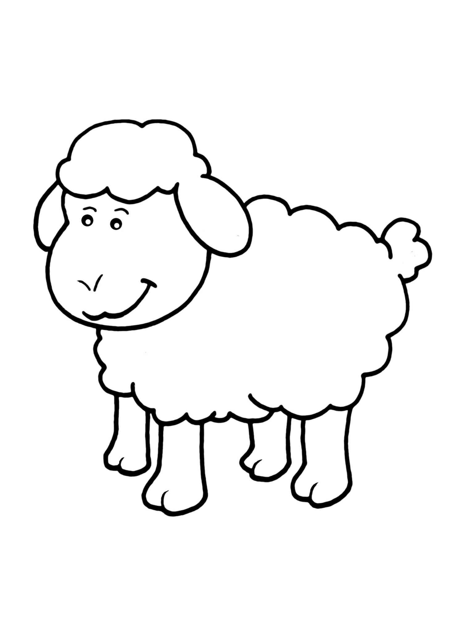 Sheep Smiling coloring page