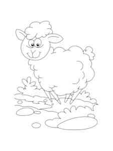 Cartoon Sheep coloring page