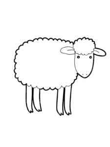 Easy Sheep coloring page