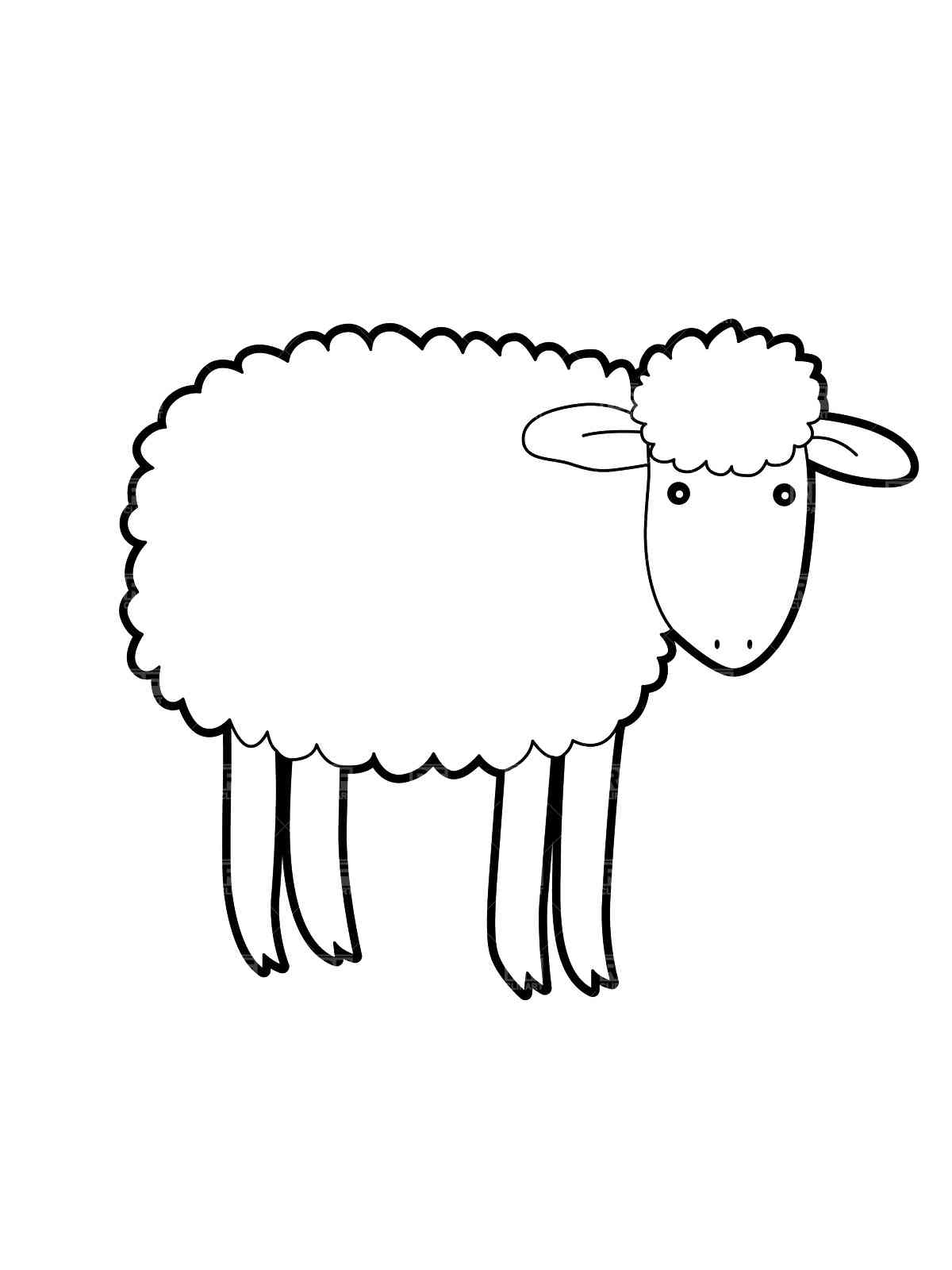 Easy Sheep coloring page