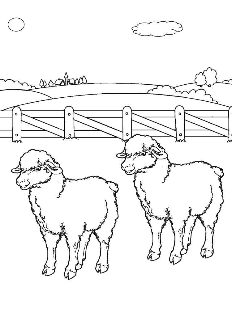 Two Sheep on the Farm coloring page
