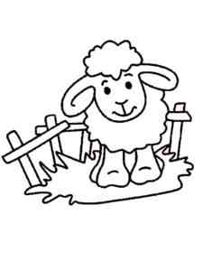 Sheep on the grass coloring page