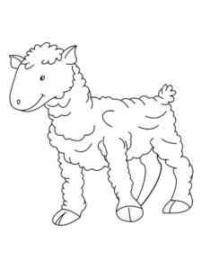 Young Sheep coloring page