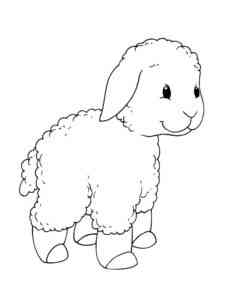 Easy Baby Sheep coloring page