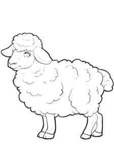 Corriedale Sheep coloring page