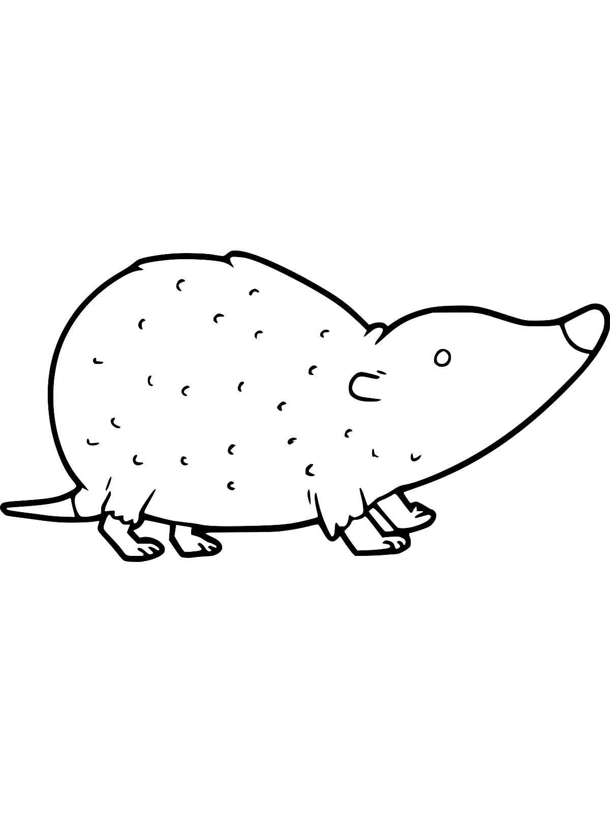 Easy Shrew coloring page