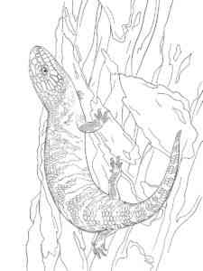 Eastern Blue Tongue Skink coloring page