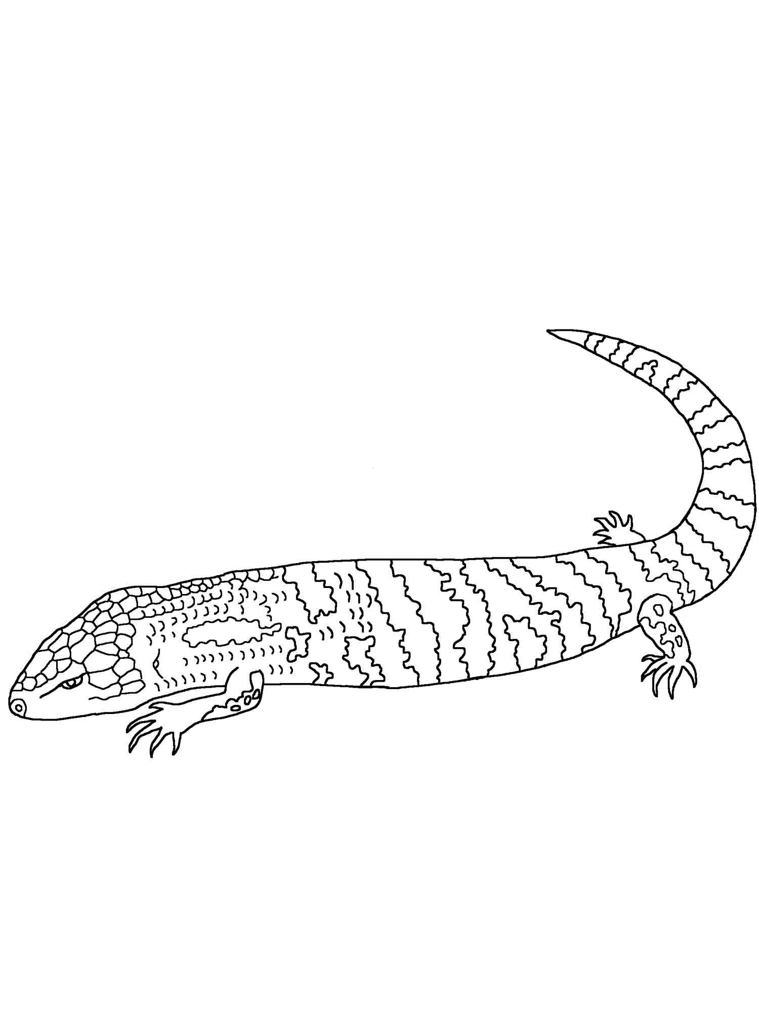 Blue Tongue Skink coloring page