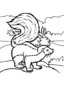 Skunk in the Forest coloring page
