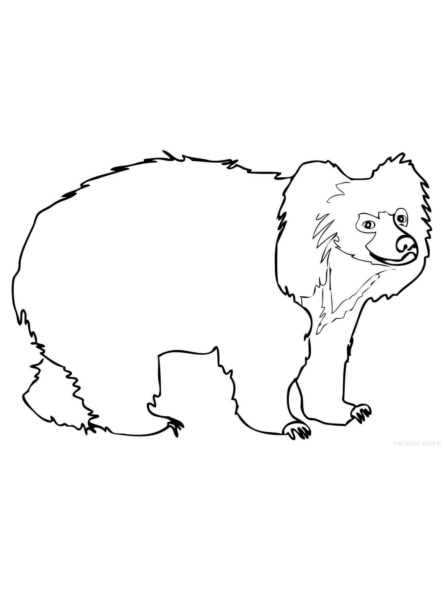 Simple Sloth Bear coloring page
