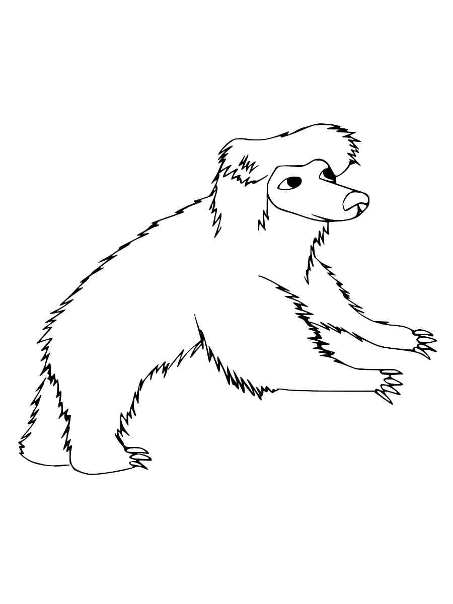 Cartoon Sloth Bear coloring page