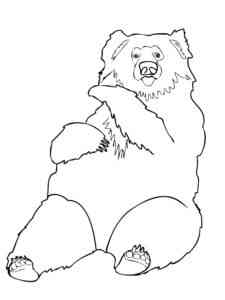 Sitting Sloth Bear coloring page