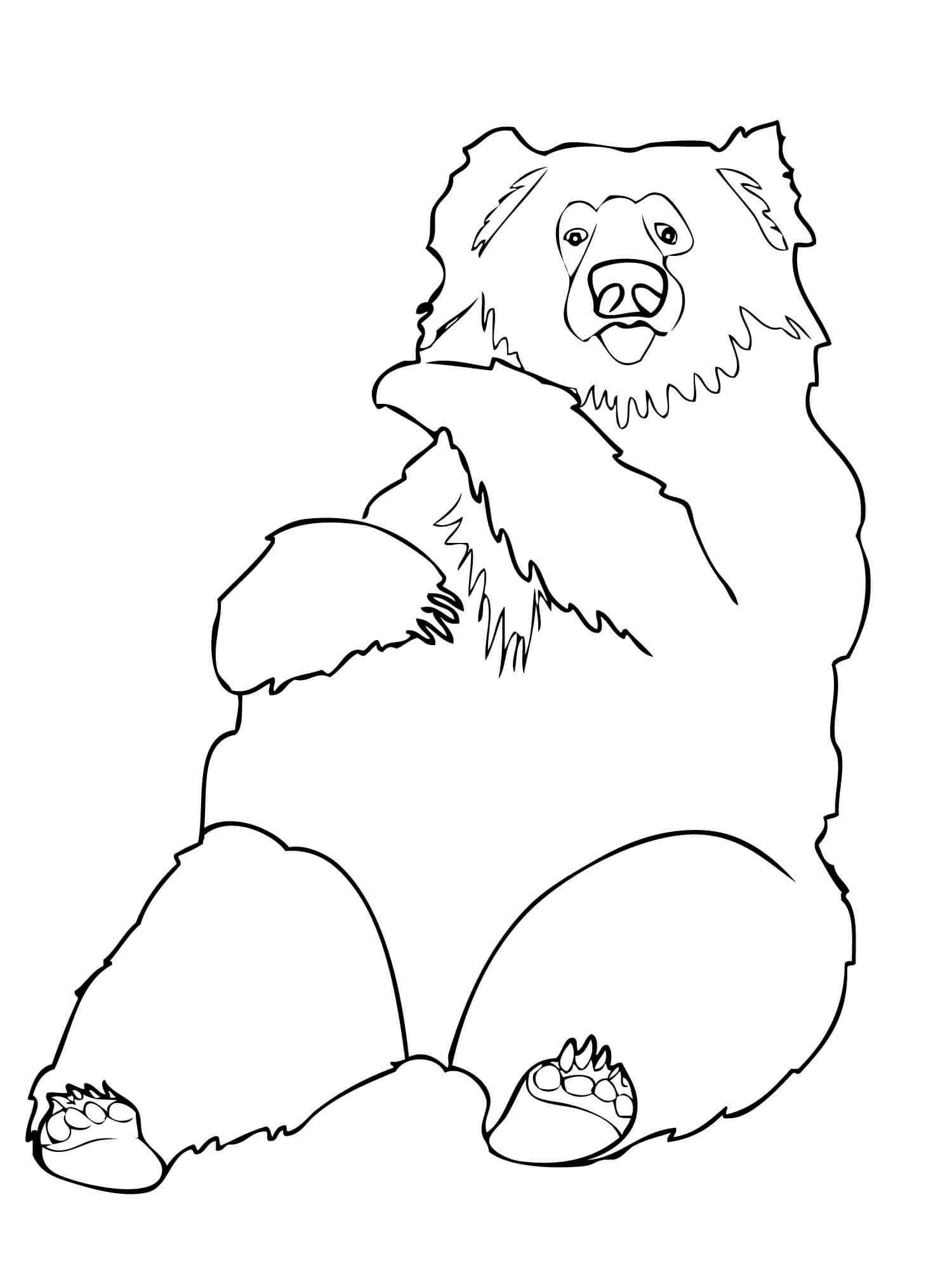 Sitting Sloth Bear coloring page