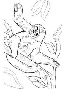 Happy Sloth coloring page