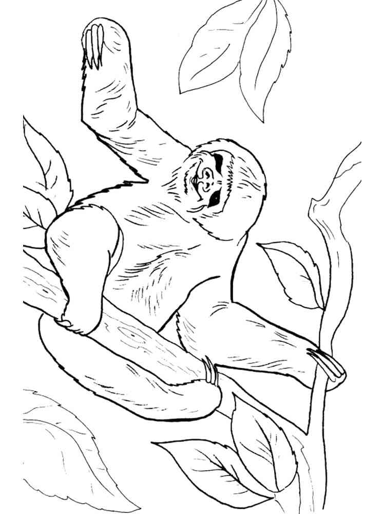 Happy Sloth coloring page