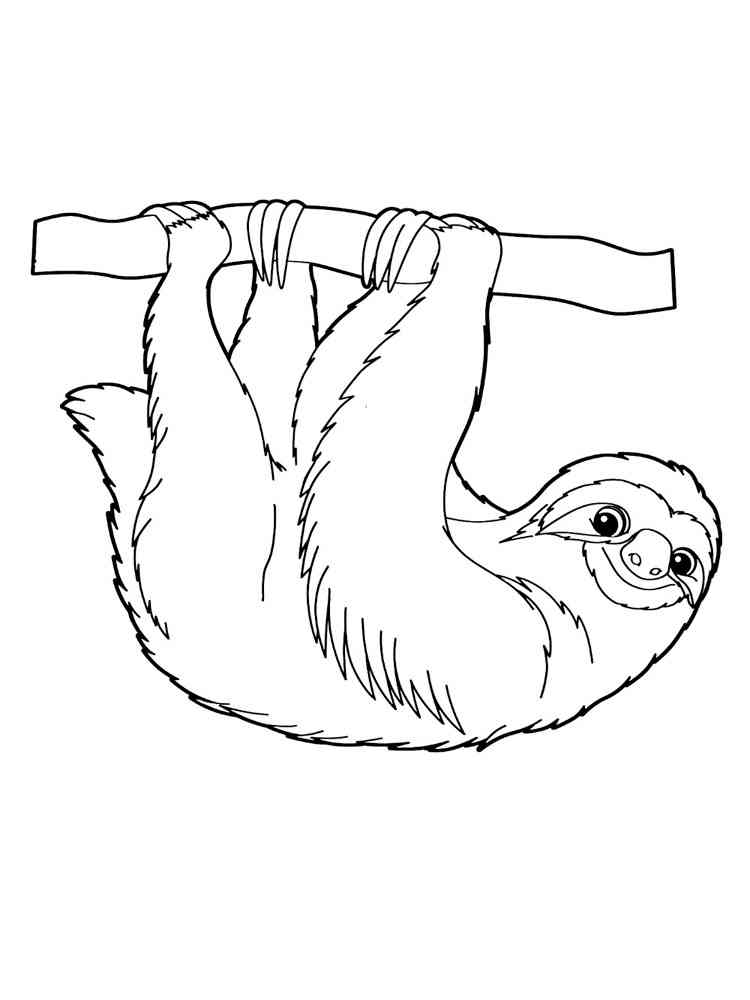 Funny Sloth coloring page
