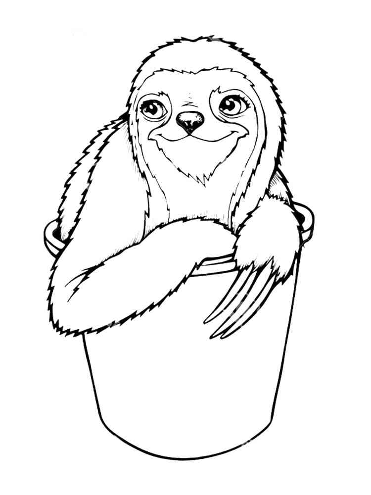 Sloth in bucket coloring page
