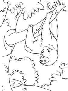 Sloth on tree branch coloring page