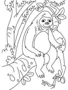 Sloth sits on tree coloring page