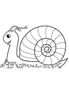 Snail on the Grass coloring page