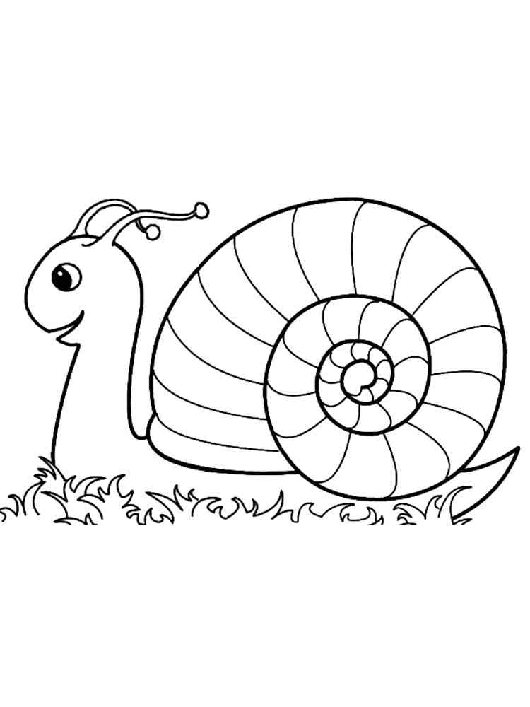 Snail on the Grass coloring page
