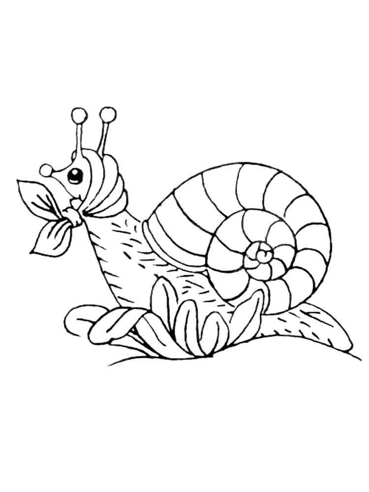 Old Snail coloring page