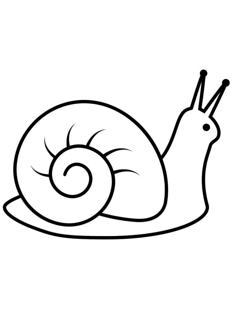 Easy Land Snail coloring page