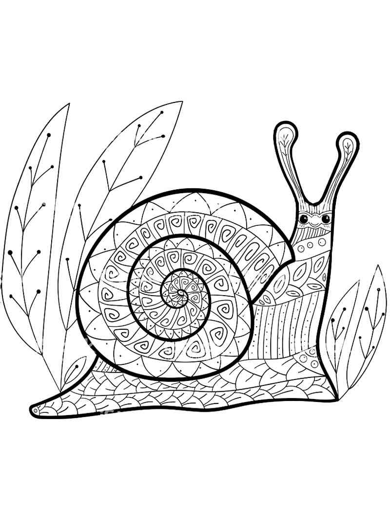 Snail Zentangle coloring page