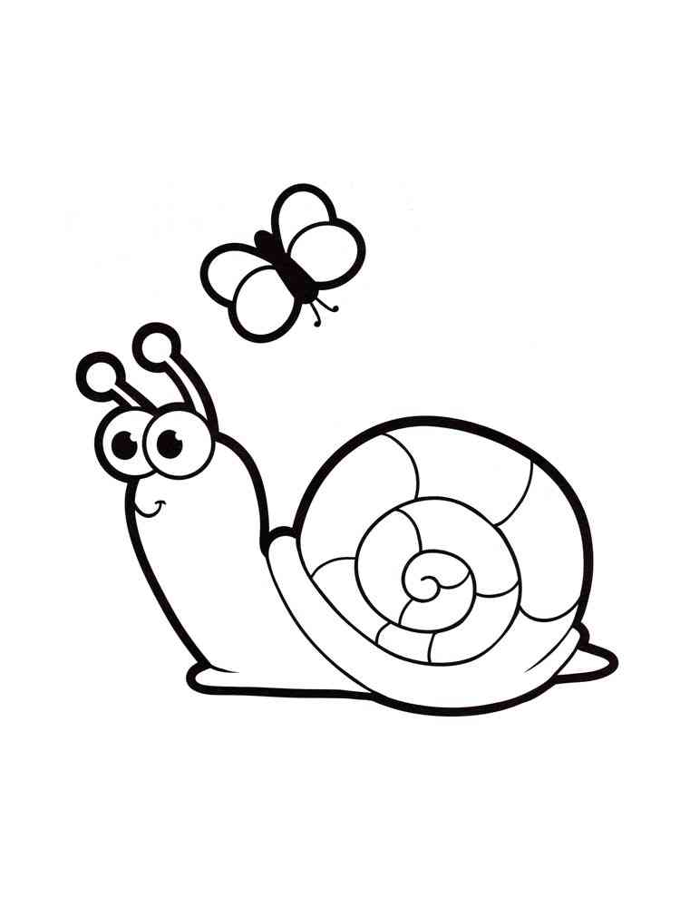 Snail and Butterfly coloring page
