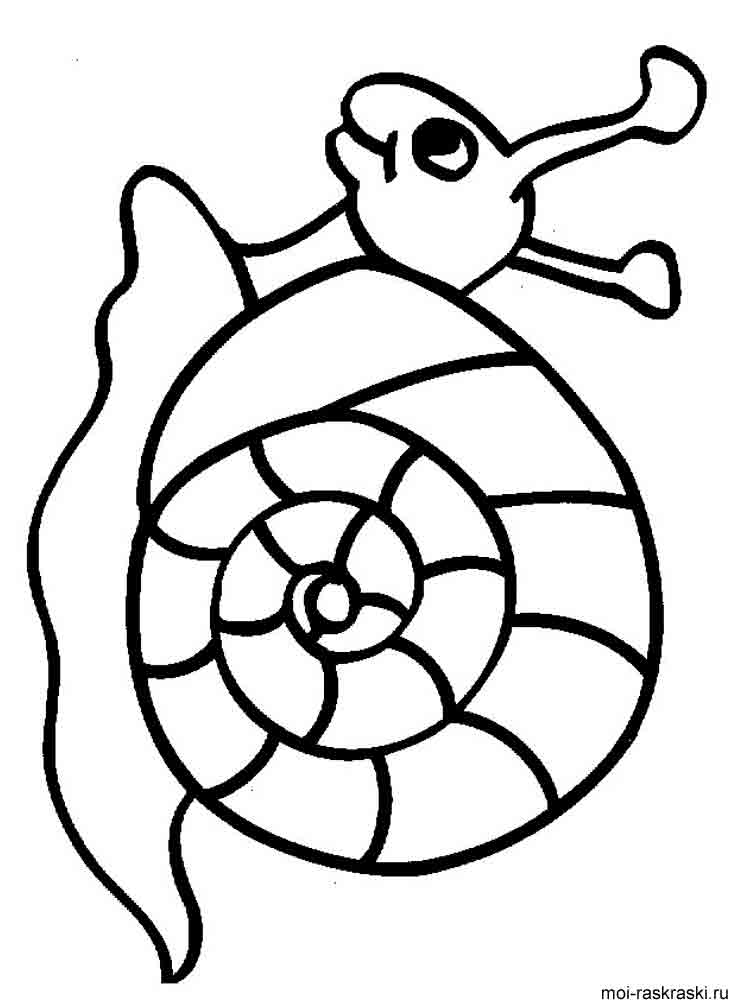 Easy Snail coloring page