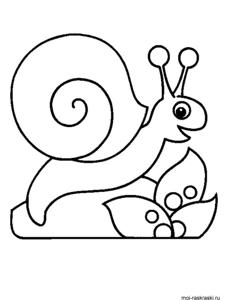 Snail on the Stone coloring page