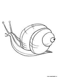Land Snail coloring page