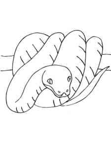 Snake on branch coloring page