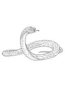 Viper Snake coloring page