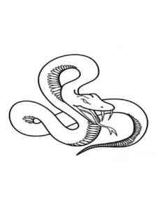 Simple Snake coloring page